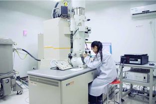 選對(duì)大學(xué)專業(yè) 中國材料科學(xué)與計(jì)算機(jī)工程強(qiáng)校對(duì)比，浙大與交大如何抉擇